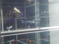 -法兰度航空主题餐厅(端州店)