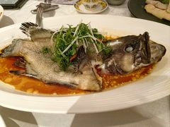 -南海渔村(珠江新城店)