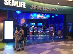 -沈阳海洋探索中心