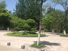 -济南植物园