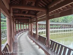 -龙头寺公园