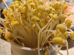 -大龙燚火锅(太古里店)