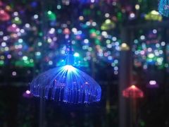 -福州奇幻解压馆(东泰禾旗舰店)