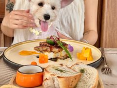 -花·fleur古董西餐厅(西城夜未央店)