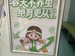 -瑞派先诺宠物医院•猫专科•普外科•中兽医(佛山院)