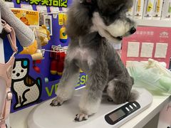 -FAELING PETS美天灵宠物(合生汇店)