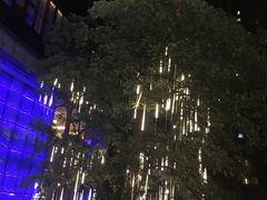 -广州天河希尔顿酒店