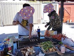 -春花秋色城市公园