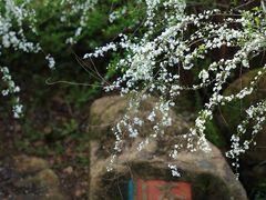 -中国茶叶博物馆(双峰馆区)