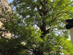 -大慈岩风景区