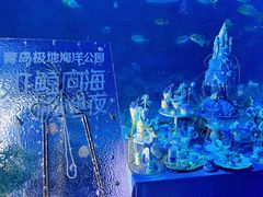-海合安青岛极地海洋公园