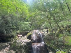 -牛背梁国家森林公园