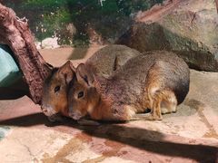 -正佳雨林生态植物园