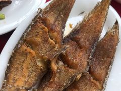 -蛇口康乐快餐鱼仔档(翠苑小区店)