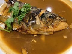 -听涛雅苑百味饺子老家菜馆