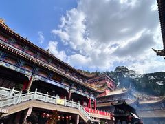 -东莞市大岭山森林公园
