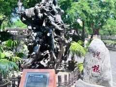 -大槐树寻根祭祖园