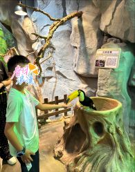 -Zoolung Zoolung动物主题公园(海信广场店)