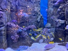 -成都浩海立方海洋公园