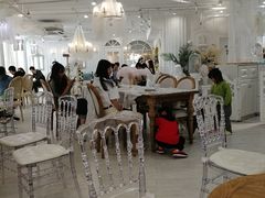 大堂-共舞时光猫咖·狗咖(新街口店)