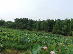 -百翠山居.家飨餐厅