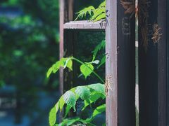 -南京市无想山景区