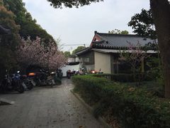 -南汇桃花村