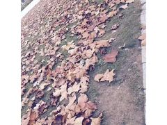 -宿迁学院