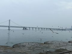 -星海广场