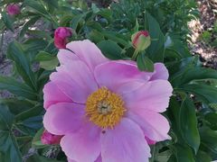 -长春公园(普阳街道)