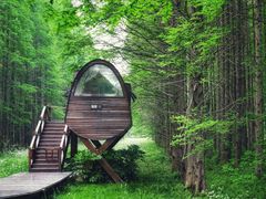 -黄海国家森林公园