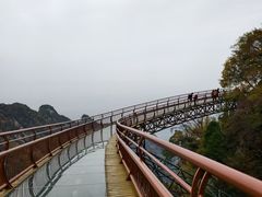 -少华山国家森林公园