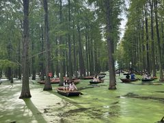-渌洋湖湿地公园