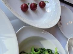 -圆苑(金茂店)