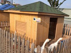 -上海崇明金茂凯悦酒店