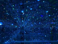 -丽江梵高星空艺术馆(古城区旗舰店)