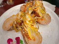 小青龙-东海怡品海鲜豆捞(舟宿夜江店)