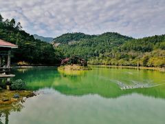 -广州白江湖森林公园