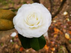 -白塘生态植物园