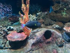 -秦皇岛新澳海底世界