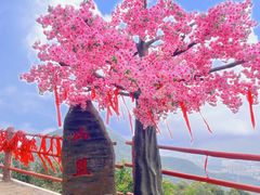 -东莞观音山旅游风景区
