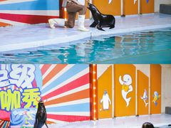 -南昌海洋公园
