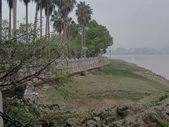 -江心屿景区
