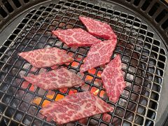 -虎哥六韩式烤肉料理 TIGERGRILL(隆生金山湖中心购物广场店)