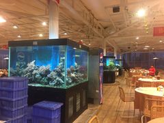 -御唐府海珊瑚主题餐厅