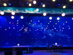 -烟台海昌鲸鲨海洋公园