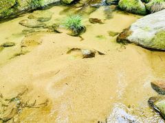 -梅岭神龙潭