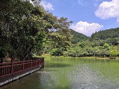 -广州白江湖森林公园