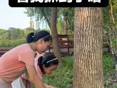 -新江湾城公园