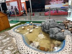 -长春农博园